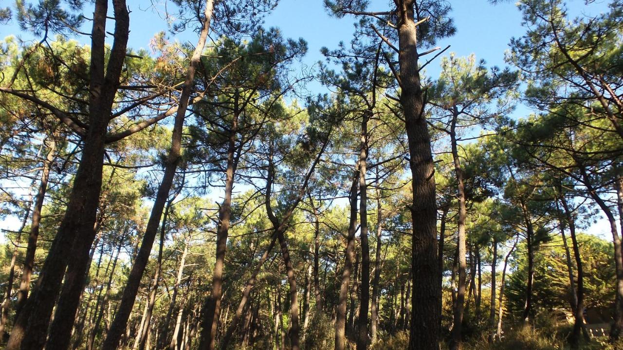 Chambre D'Hotes Et Spa De La Presqu'Ile La Faute-sur-Mer Eksteriør bilde